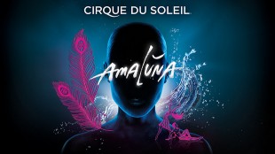 Cirque-du-Soleil-Amaluna
